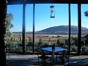 View from Ram's Gate's tasting room