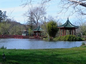 Jade Lake at Chateau Montelena