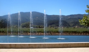 The fountains at Alpha Omega