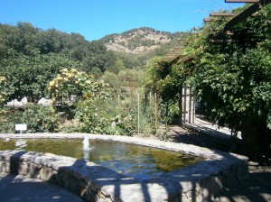Organic garden at Robert Sinskey Vineyards
