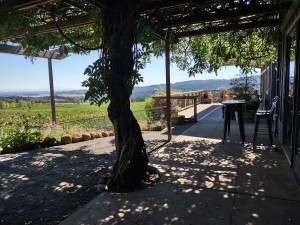 The view from the patio at Bethyl Heights